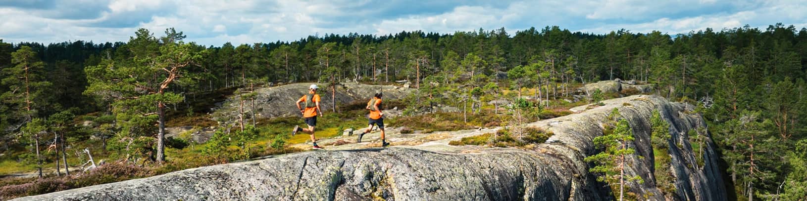Norrona