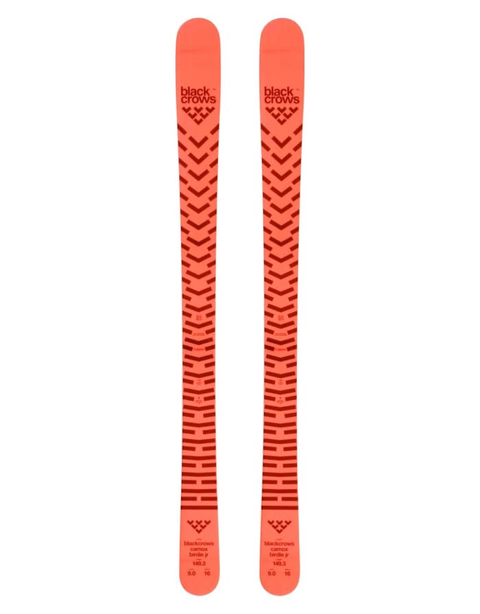 Camox Birdie Jr 2023