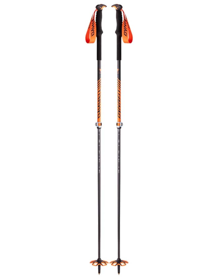 Speed Vario Pole Dawn