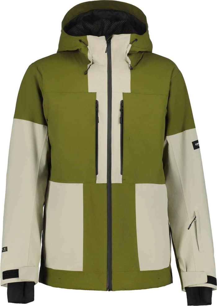 Castres M Olive