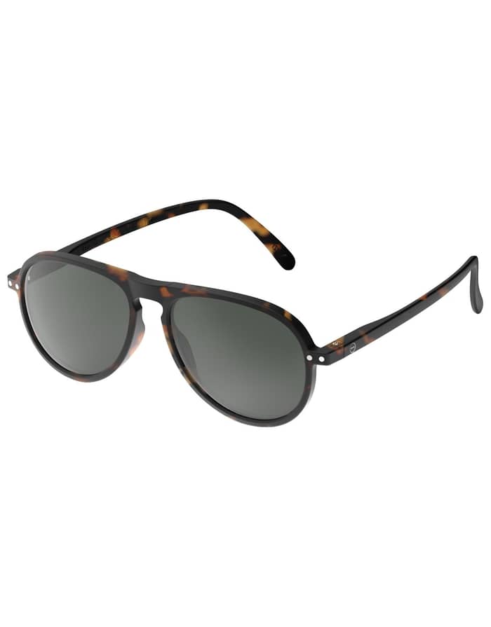 Sun #I Tortoise