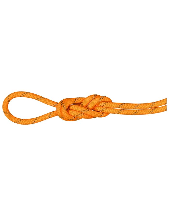8.0 Alpine Dry Rope Safety Orange/Boa