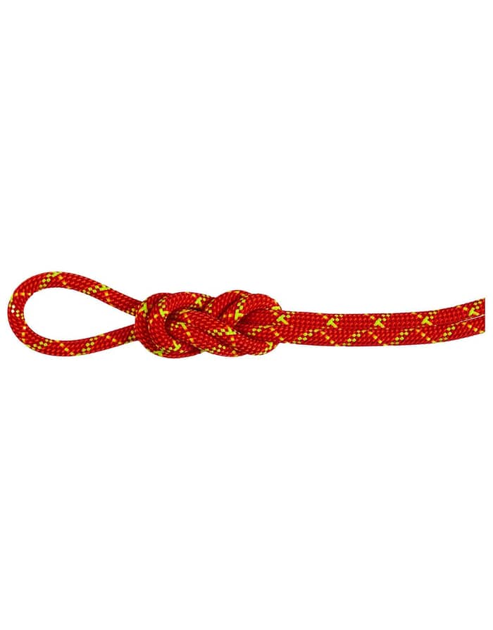 8.0 Alpine Core Protect Dry Rope Fire/Halo