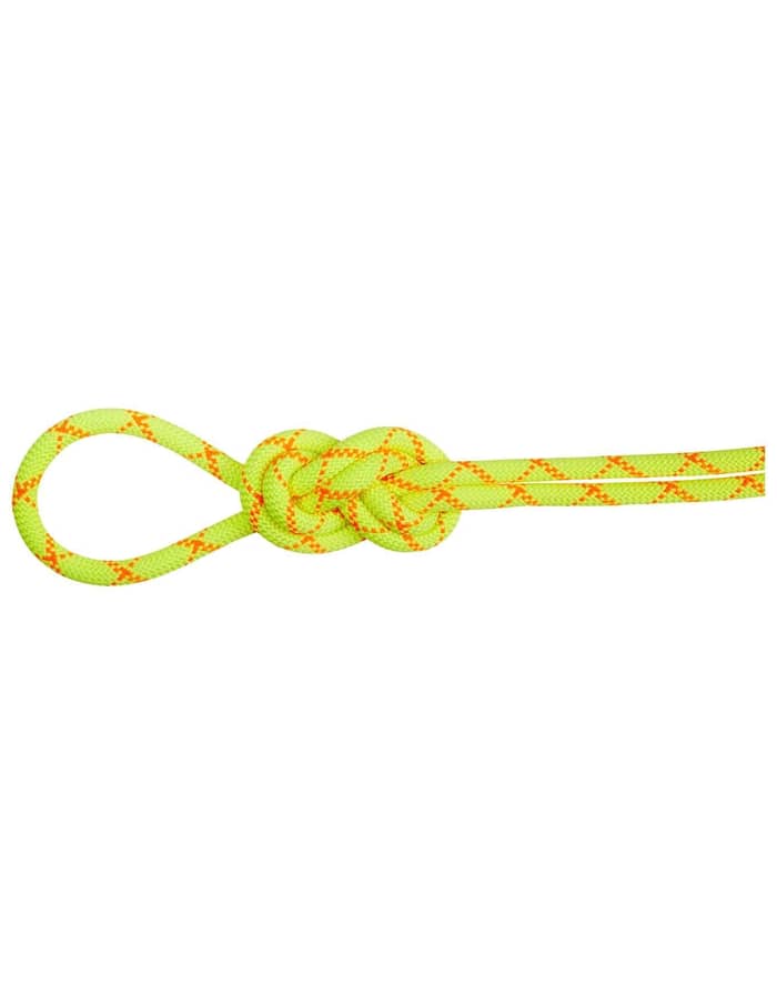 9.5 Alpine Core Protect Dry Rope Halo/Vibrant Orange