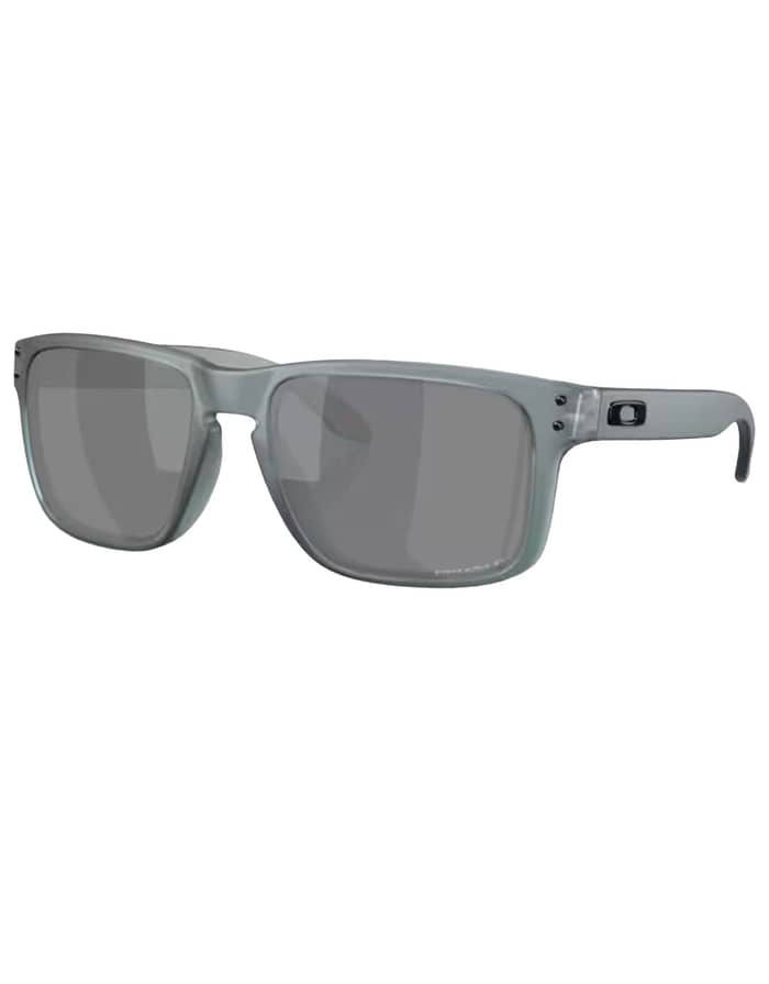 Holbrook Matte Crystal Black Prizm Black Polar