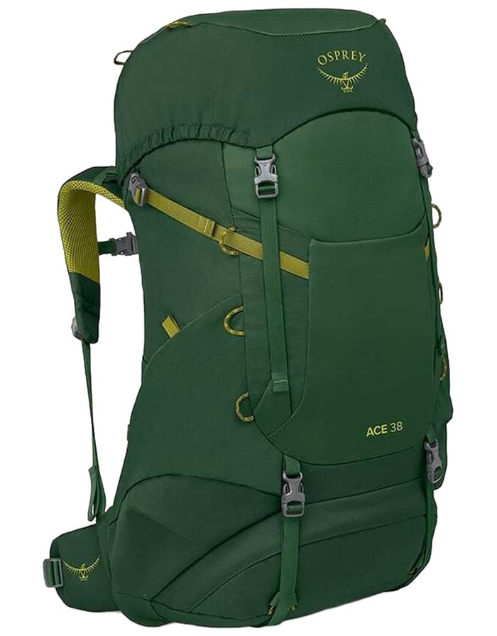 Ace 38 Green Canopy/Matcha