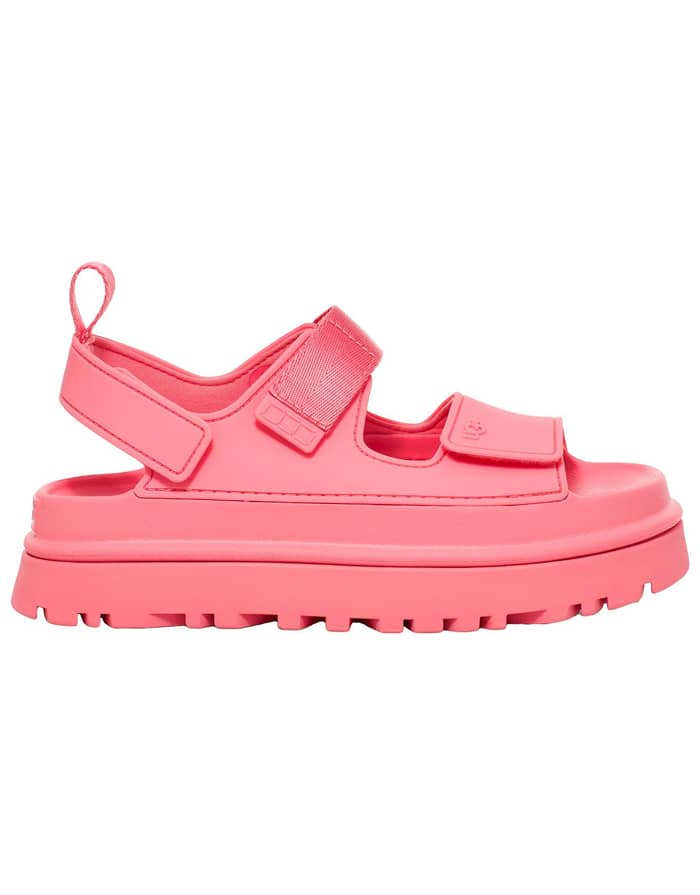 W Goldenglow Tropical Pink