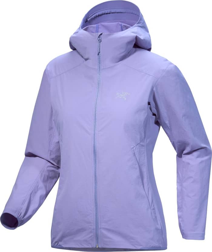 Gamma LT Hoody W Moonstone
