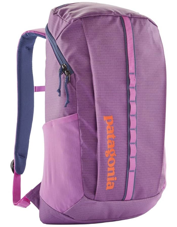 Patagonia Black Hole Pack 25L Brisk Purple Backpacks : Snowleader