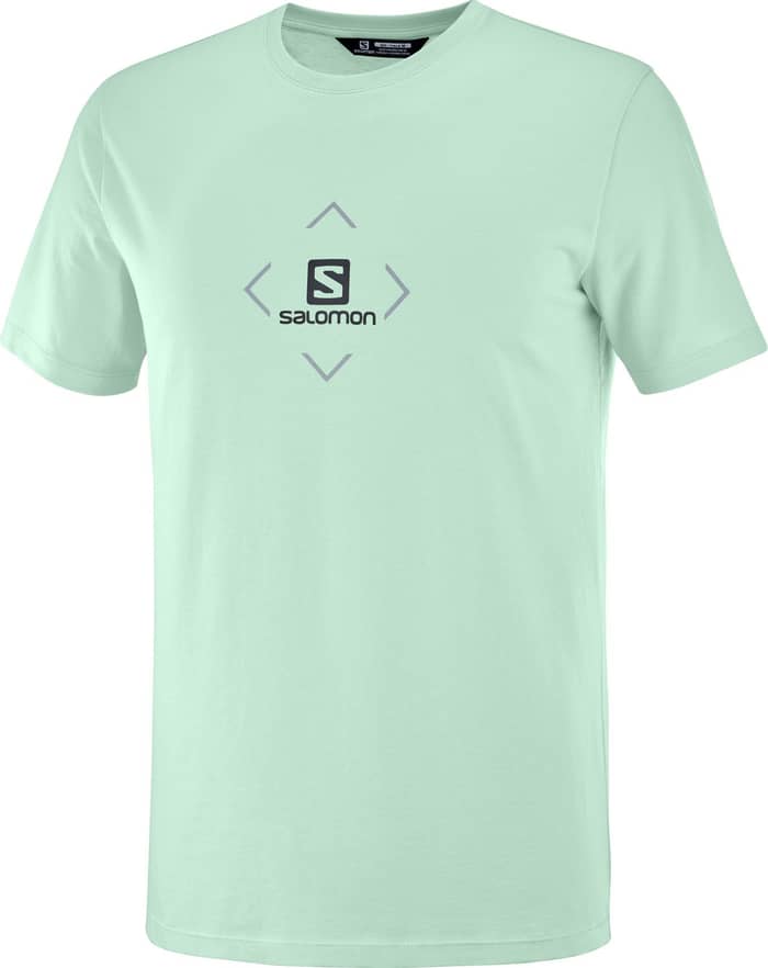 T-Shirt Salomon Cotton Tee M Harbor Grey/Ashley Blue/Ebony + Salomon