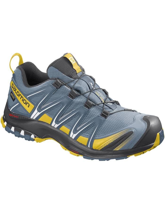 Xa Pro 3D GTX Bluestone/Indian Tea + Salomon