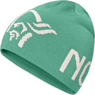 /29 Logo Beanie Arcadia/Snowdrop