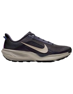 Nike ACG Pegasus Trail Gridiron/Cream II