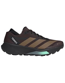 Terrex Agravic 2 GTX Aurora Coffee