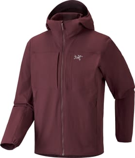 Gamma Hoody M Ultima