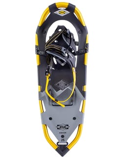 Montane
