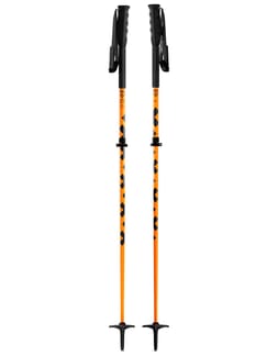 Sector Orange