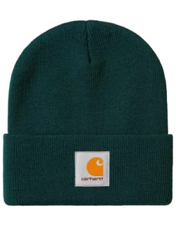 Short Watch Hat Dark Fir