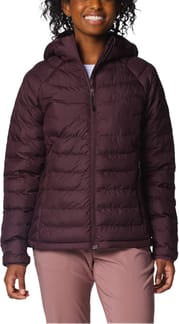 Powder Lite™ II Hooded Jacket Moonvista