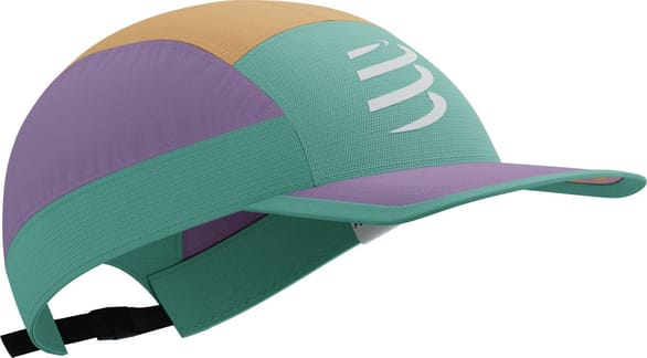 5 Panel Light Cap Lupine