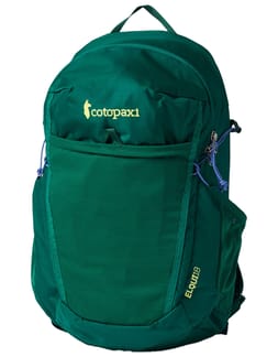 Elqui 18L Backpack Kale