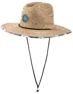 Pindo Straw Hat Palm Grove