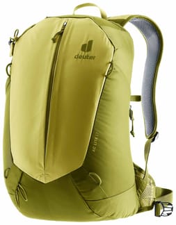 AC Lite 17 Linden Cactus