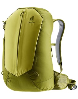 AC Lite 23 Linden Cactus