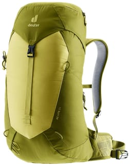 AC Lite 24 Linden Cactus