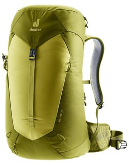 AC Lite 30 Linden Cactus
