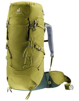 Aircontact Core 40+10 Cactus Ivy