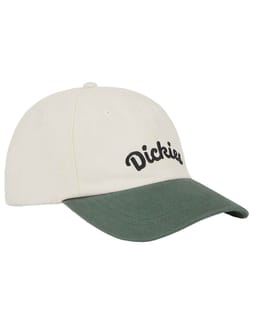 Seasonal Cap Cloud