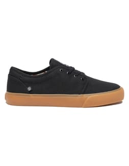 Darwin Black Gum