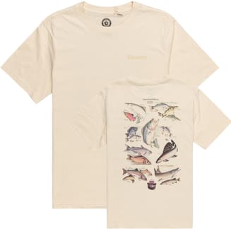 Sbxe Fishs SS Parchment