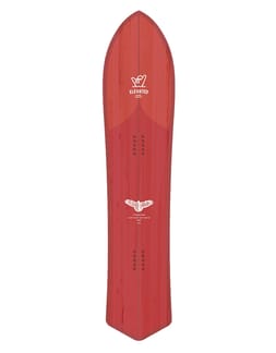 Redtail Hawk 2023