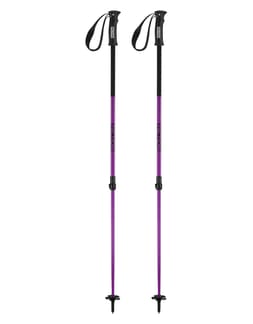 Agent Poles Purple