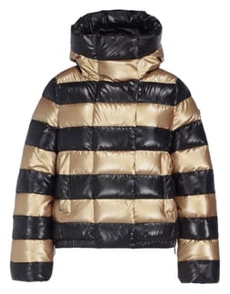 Dazzle Gold Black