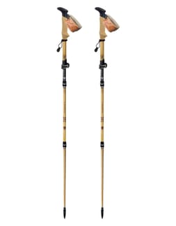 Terre de Trek Flashlock