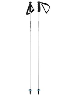 Worldcup Rebels Carbon