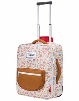 Dried Flowers Suitcase