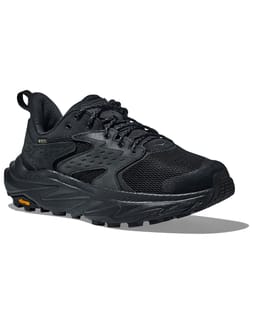 Anacapa 2 Low GTX Black/Black