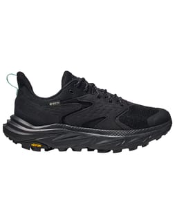 Anacapa 2 Low GTX W Black/Black