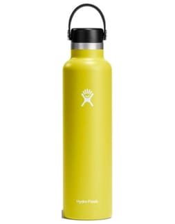 24 Oz Standard Flex Cap Cactus