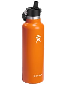 21 Oz Standard Flex Straw Cap Mesa