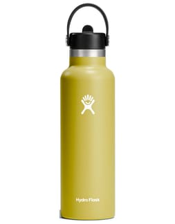 21 Oz Standard Flex Straw Cap Cactus