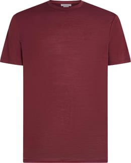 M Merino 150 Tech Lite SS Tee Port
