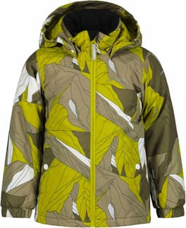 Japeri Kd Olive Fonce