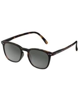 Sun #E Tortoise