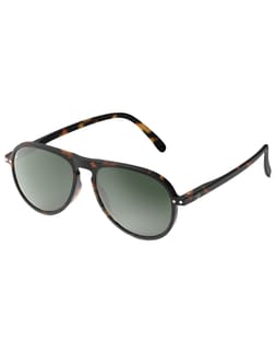 Sun #I Tortoise Green