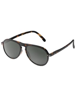 Sun #I Tortoise